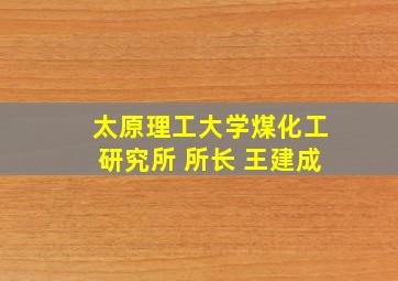 太原理工大学煤化工研究所 所长 王建成